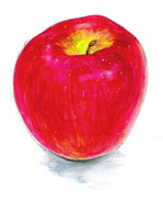リンゴ 水彩画