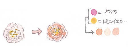 梅の花 描き方 着彩2