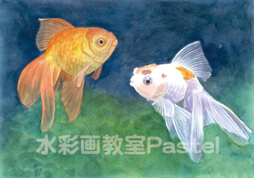金魚 透明感ある描き方 水彩