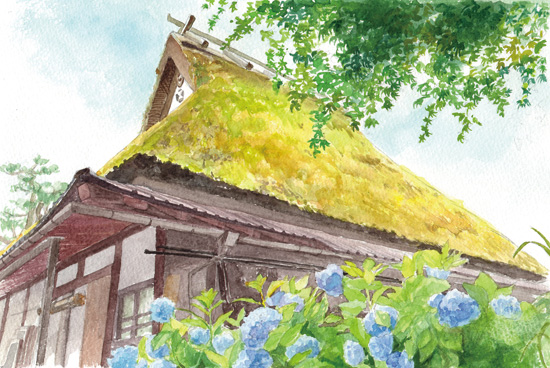美山 茅葺の家 水彩画