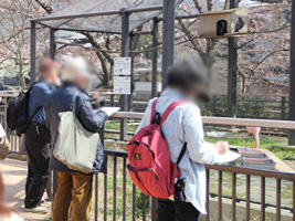 京都市動物園 写生 スケッチ