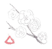 梅の描写 描き方1