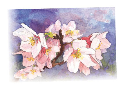 桜の水彩画 描き方