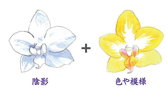 �A�e�Ɩ͗l�̗��� ���ʉ�̕`����