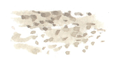 ���ʉ� �����̕`����