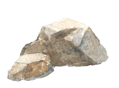 ���ʉ� ��̕`����