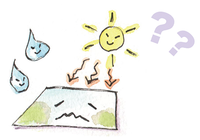 ���ʉ�̕ۑ�