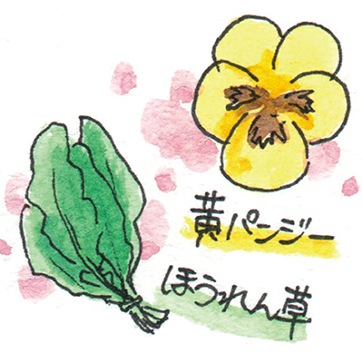 ���R�A������̐F����� ���ʉ�